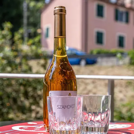 Casa Bianca - Il Tuo Rifugio A Santa Margherita Apartament *